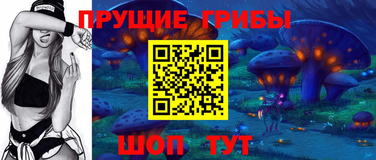 Нижнеудинск  Галлюциногенные грибы Psilocybine cubensis  Вход с VPN 