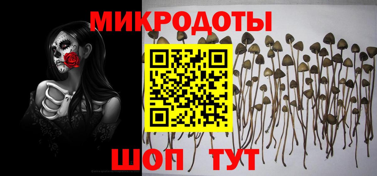 Галлюциногенные грибы GOLDEN TEACHER Нижнеудинск